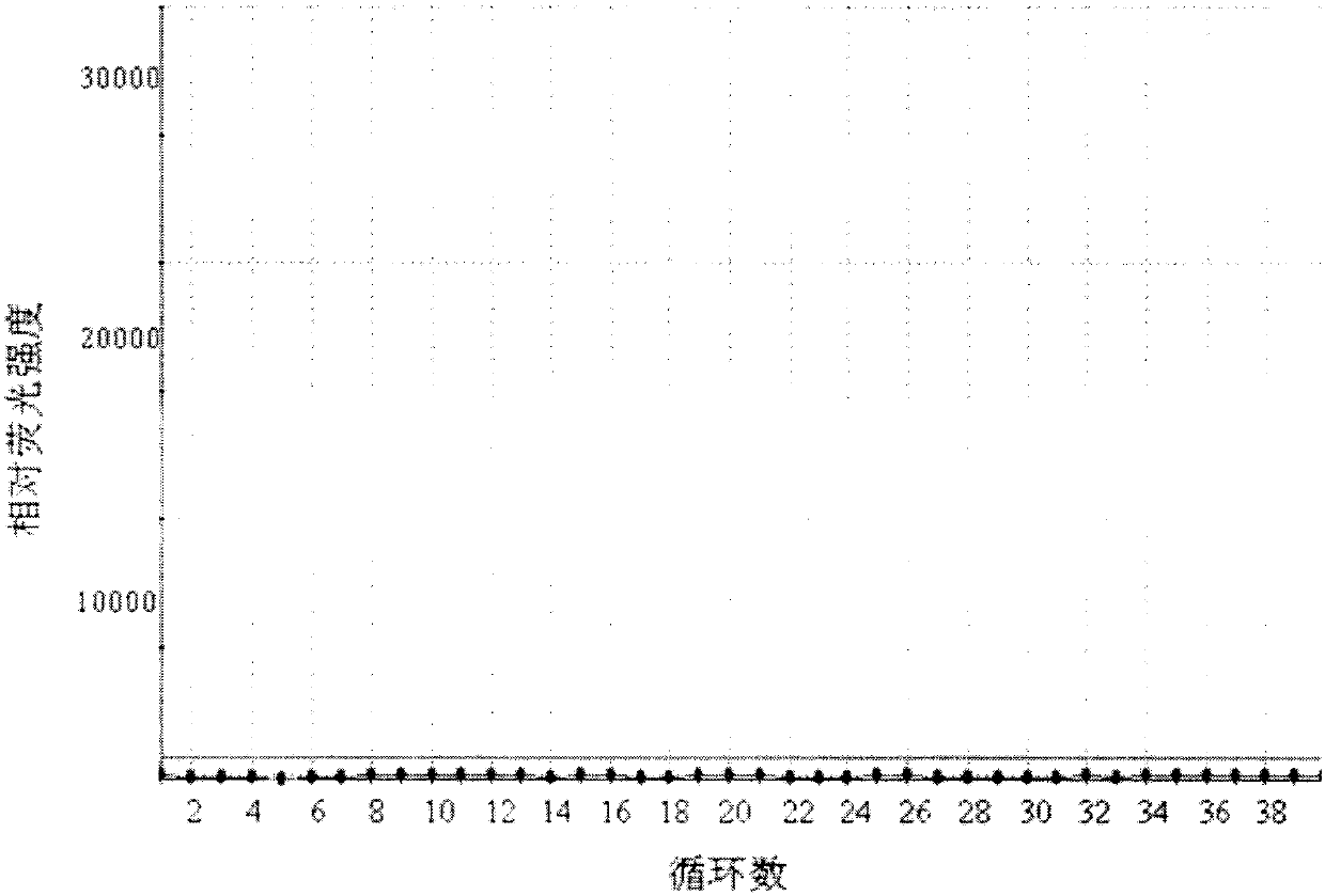 Primer, probe and kit for detecting 1737-1738 site mutations of C-KIT genes