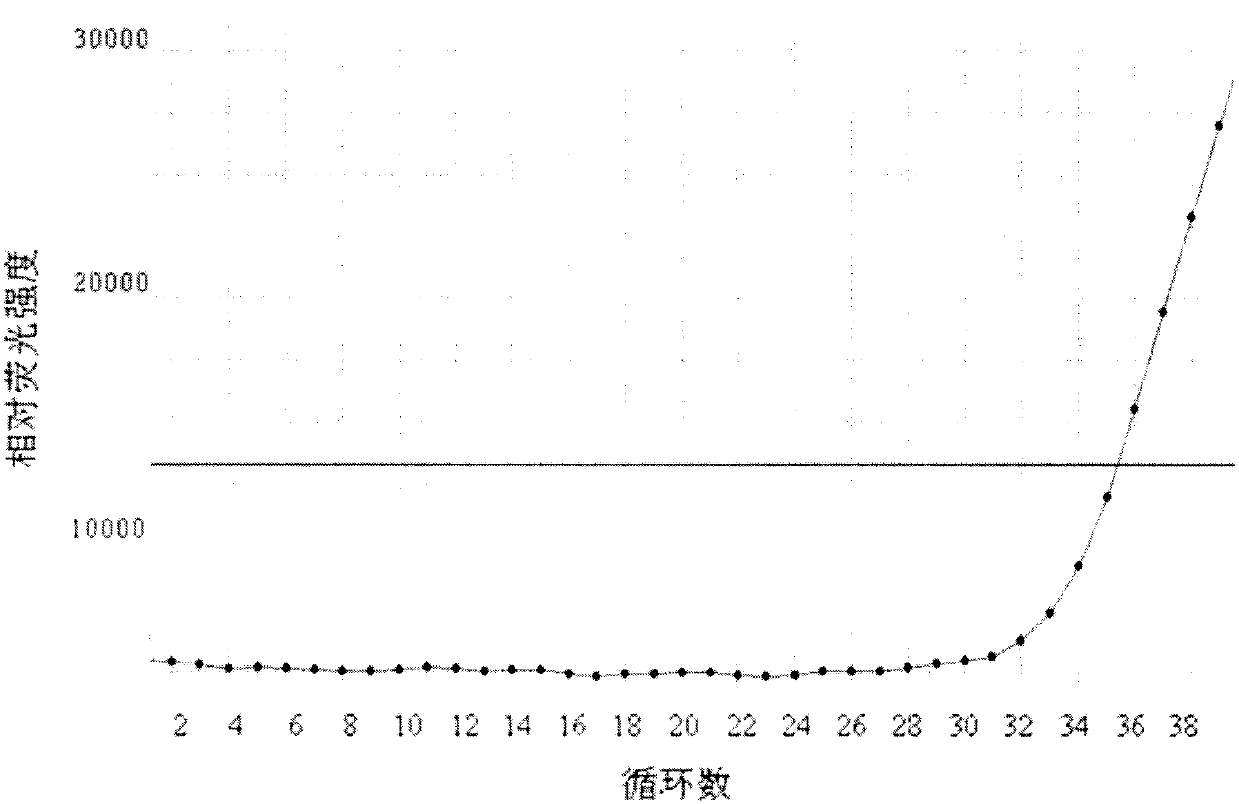 Primer, probe and kit for detecting 1737-1738 site mutations of C-KIT genes