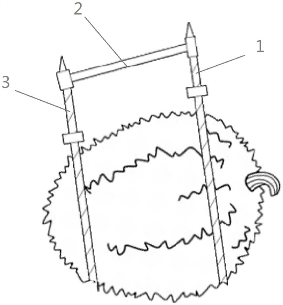 Packaging assembly special for durian and packaging method of packaging assembly