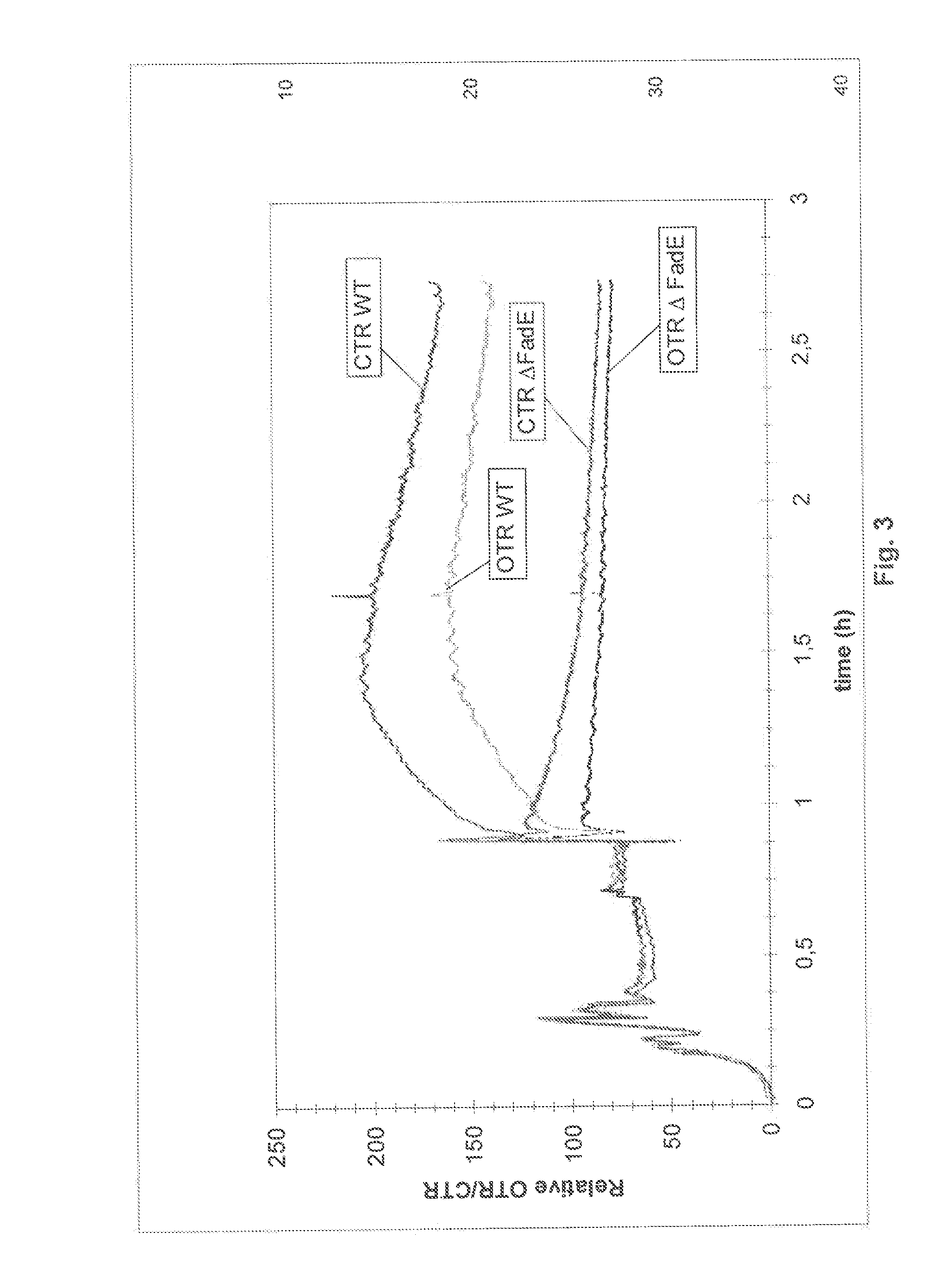 Process for the improved separation of a hydrophobic organic solution from an aqueous culture medium