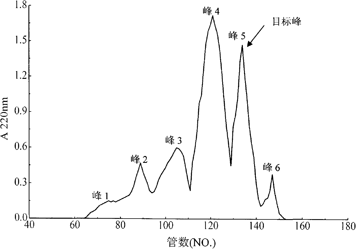 Method for preparing angiotensin converting enzyme inhibitory peptide (ACEIP) by using enzymatic degradation on mussel-digested protein