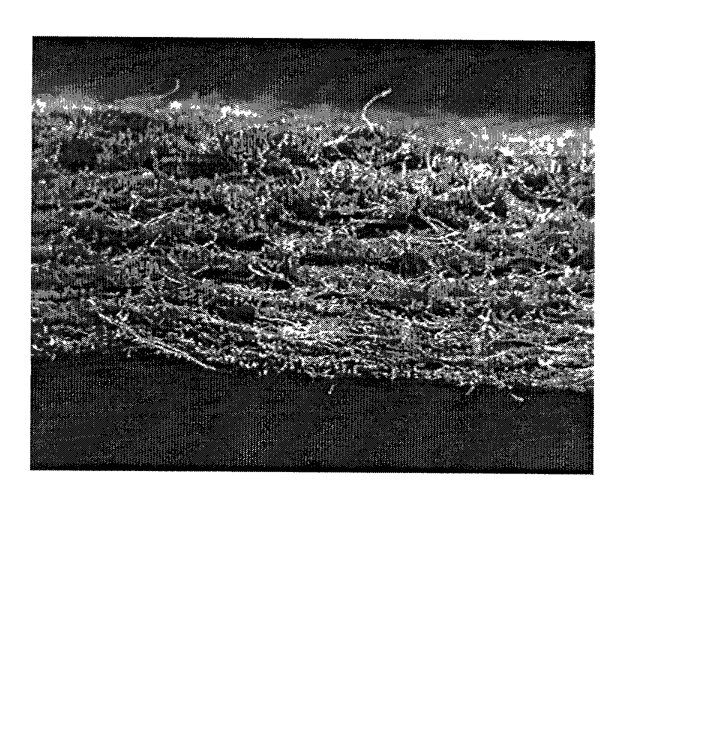 Method for controlling thermohysteresis during thermoforming of three-dimensional fibrous compound constructs and the product thereof