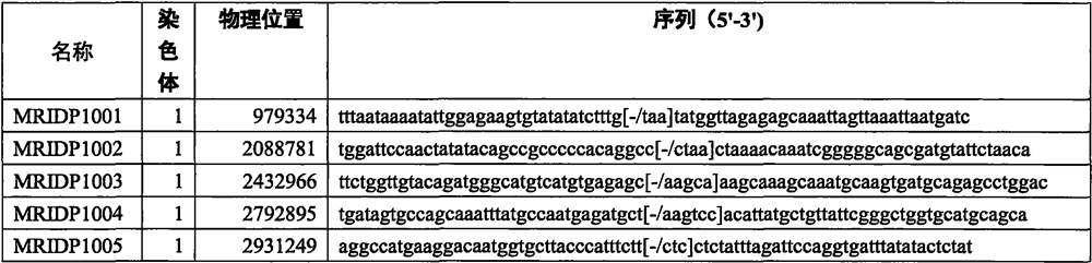 InDel marker suitable for corn genotyping and application of InDel marker