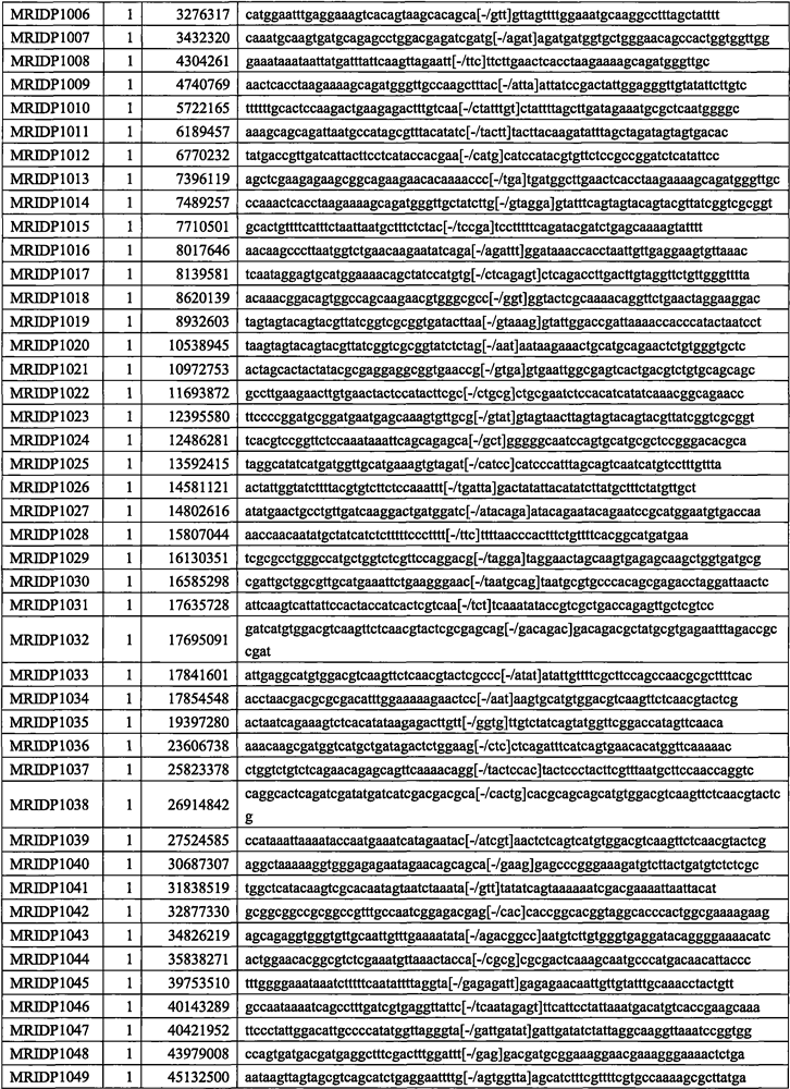 InDel marker suitable for corn genotyping and application of InDel marker