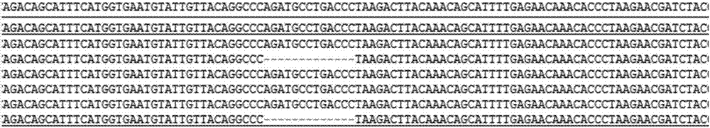Application of CRISPR/Cas 9 technology in obtaining of bombyx zinc finger protein gene mutation