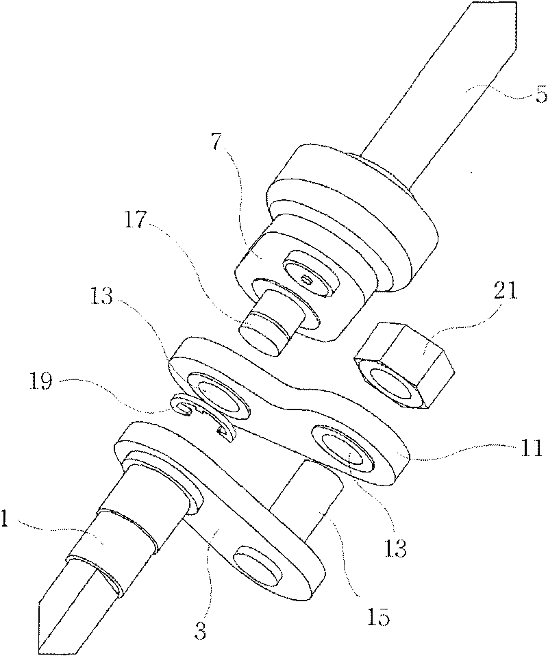 Coupling apparatus between drive shaft and driven shaft