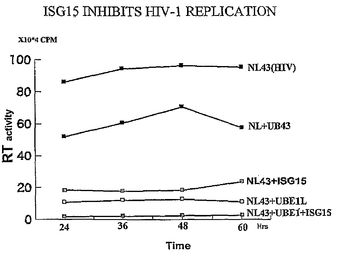 Ubiquitin-like protein isg15 for hiv inhibition