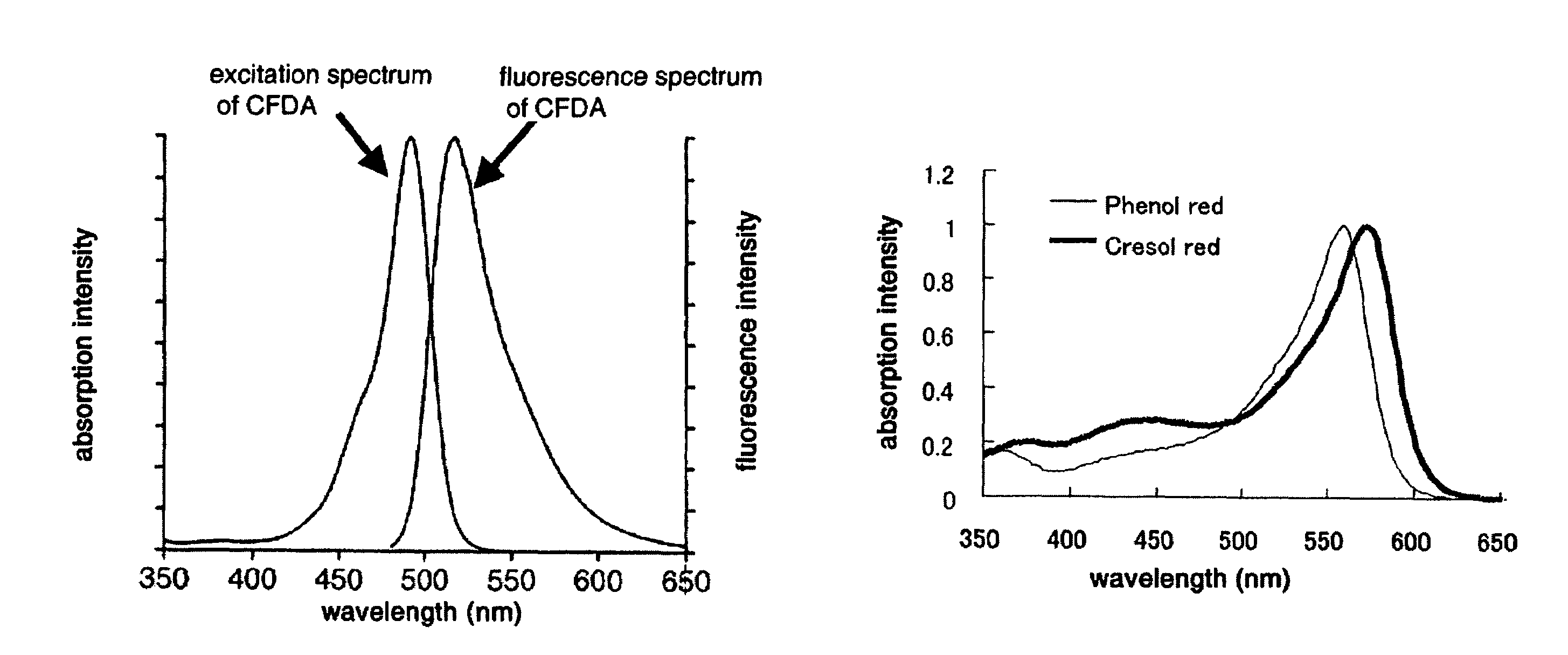 Method of detecting viable cells