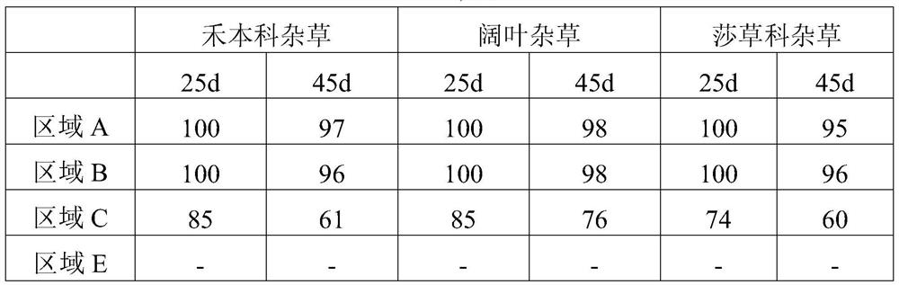 Slow-release pesticide fertilizer containing imidacloprid and pyrazosulfuron-ethyl for rice and preparation method of slow-release pesticide fertilizer