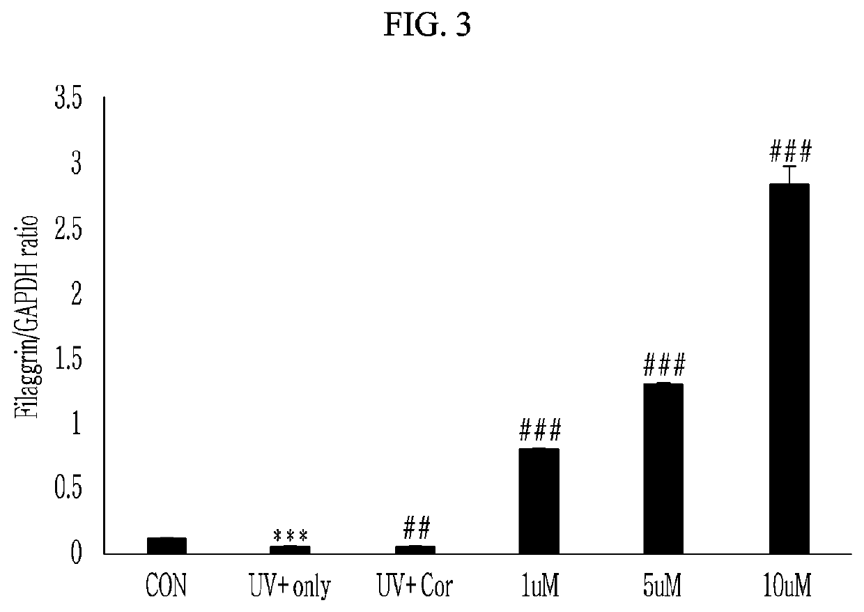Composition and method of inhibiting cortisone reductase by applying it to the skin