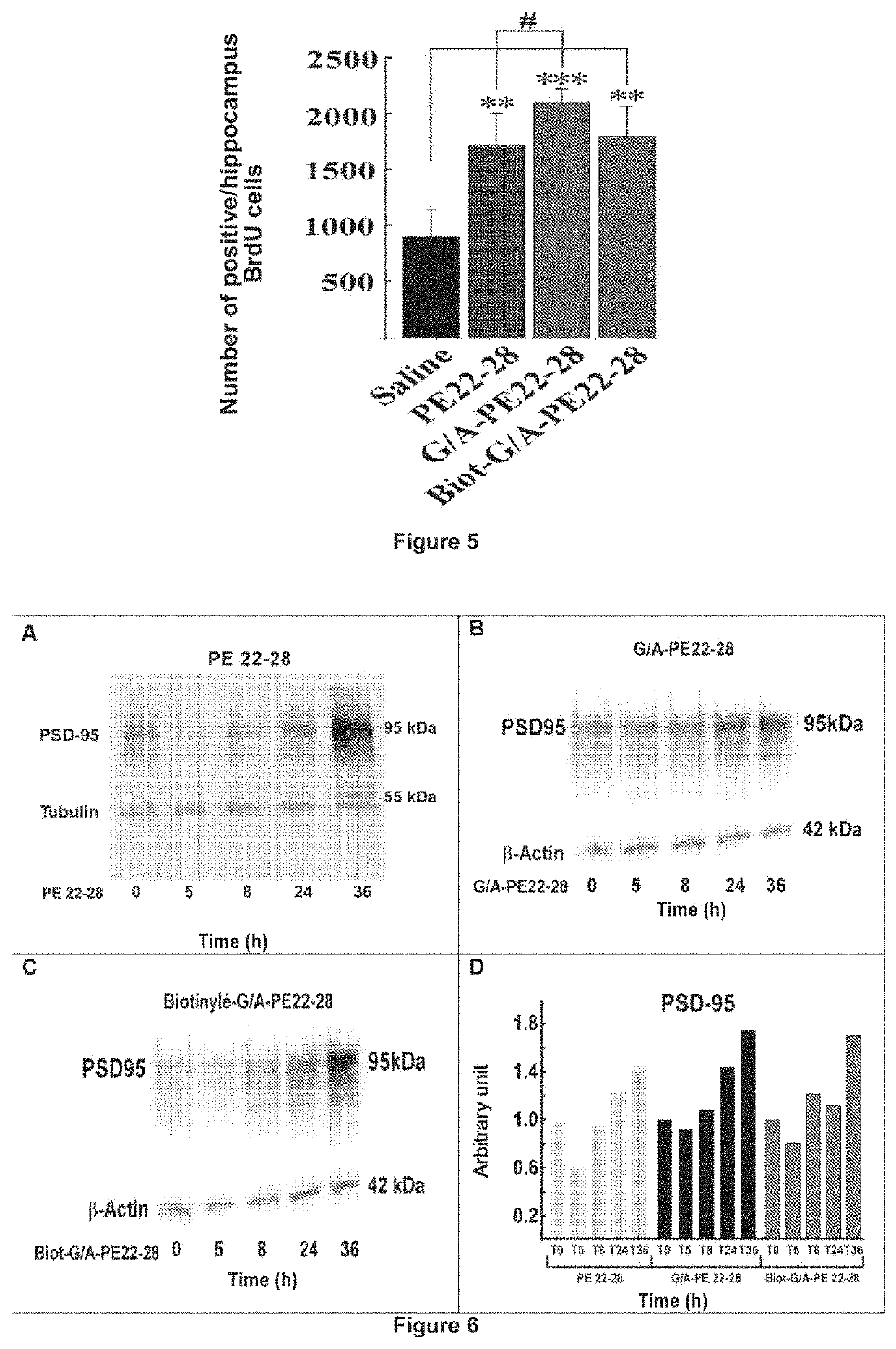Peptides derived from the propeptide NTSR3 and their use in the treatment of depression