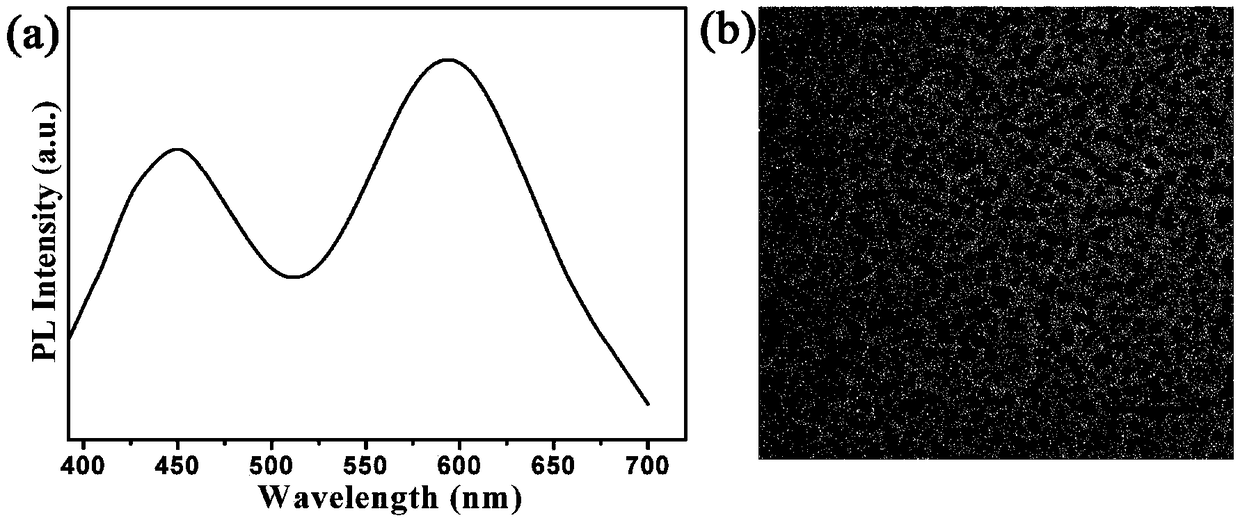 Double-fluorescence-emission copper nano-cluster/carbon dot colorimetric probe, preparation method and application in trace water detection