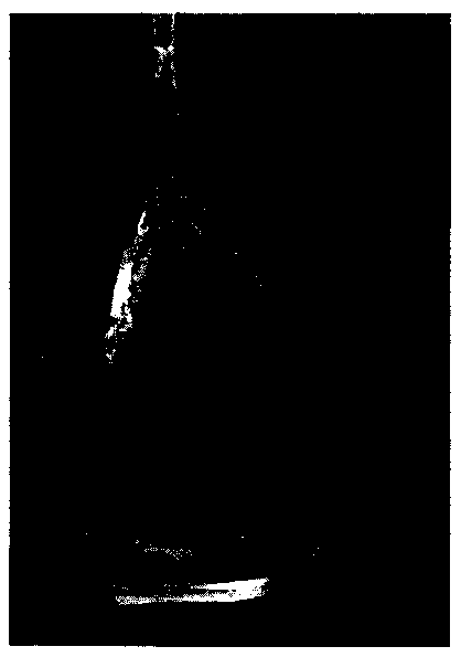 Calcium metaborate birefraction crystal as well as preparation method and purpose thereof