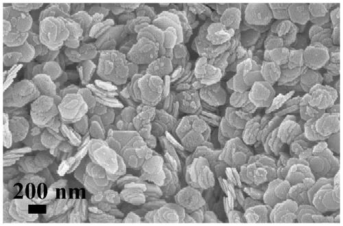 A kind of nickel oxide and microcrystalline graphite composite and its preparation method and application