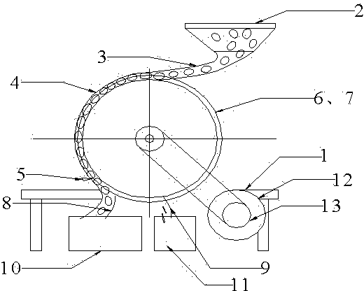 Rotary lotus seed peeling machine