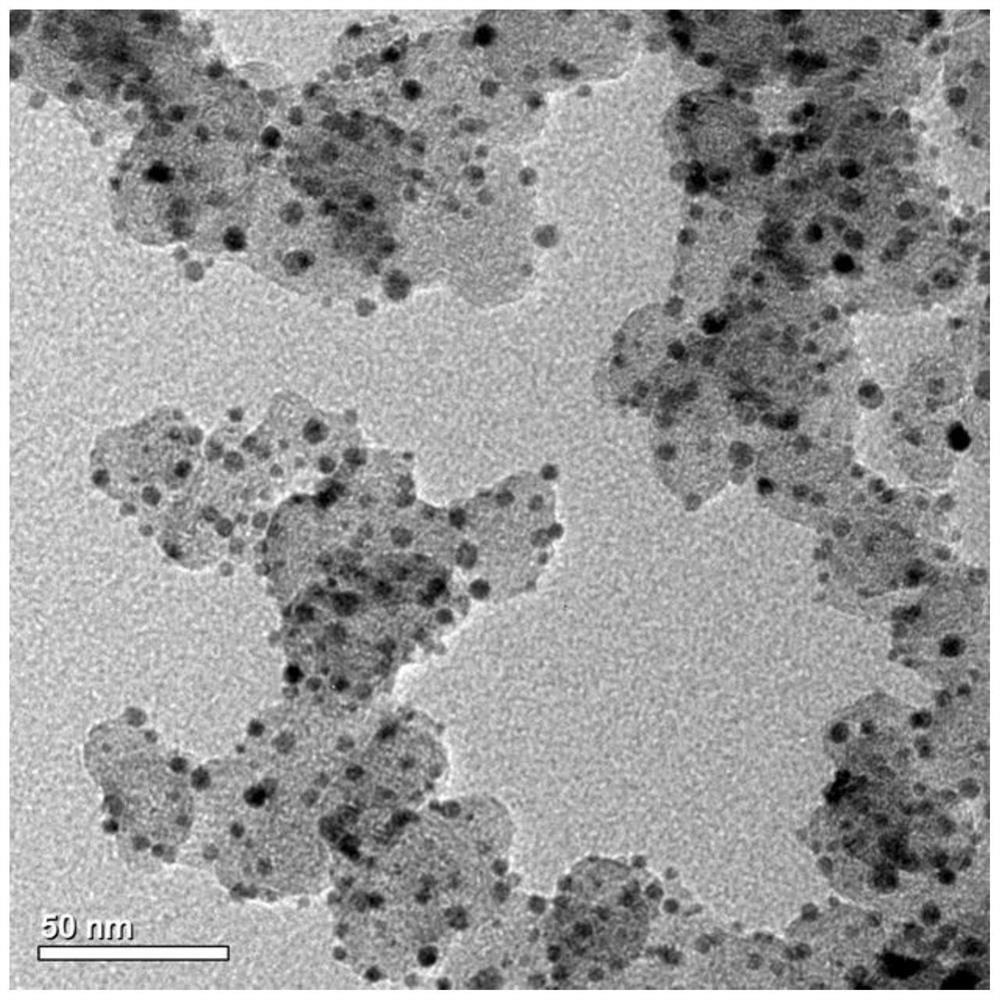 Platinum alloy nanocrystalline catalyst, and preparation method and application thereof