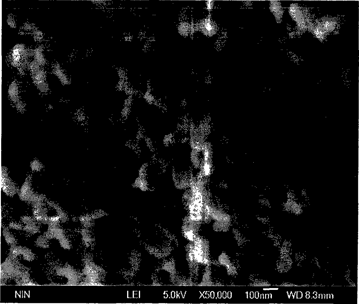 Preparation of nano cadmium tantalite photocatalyst