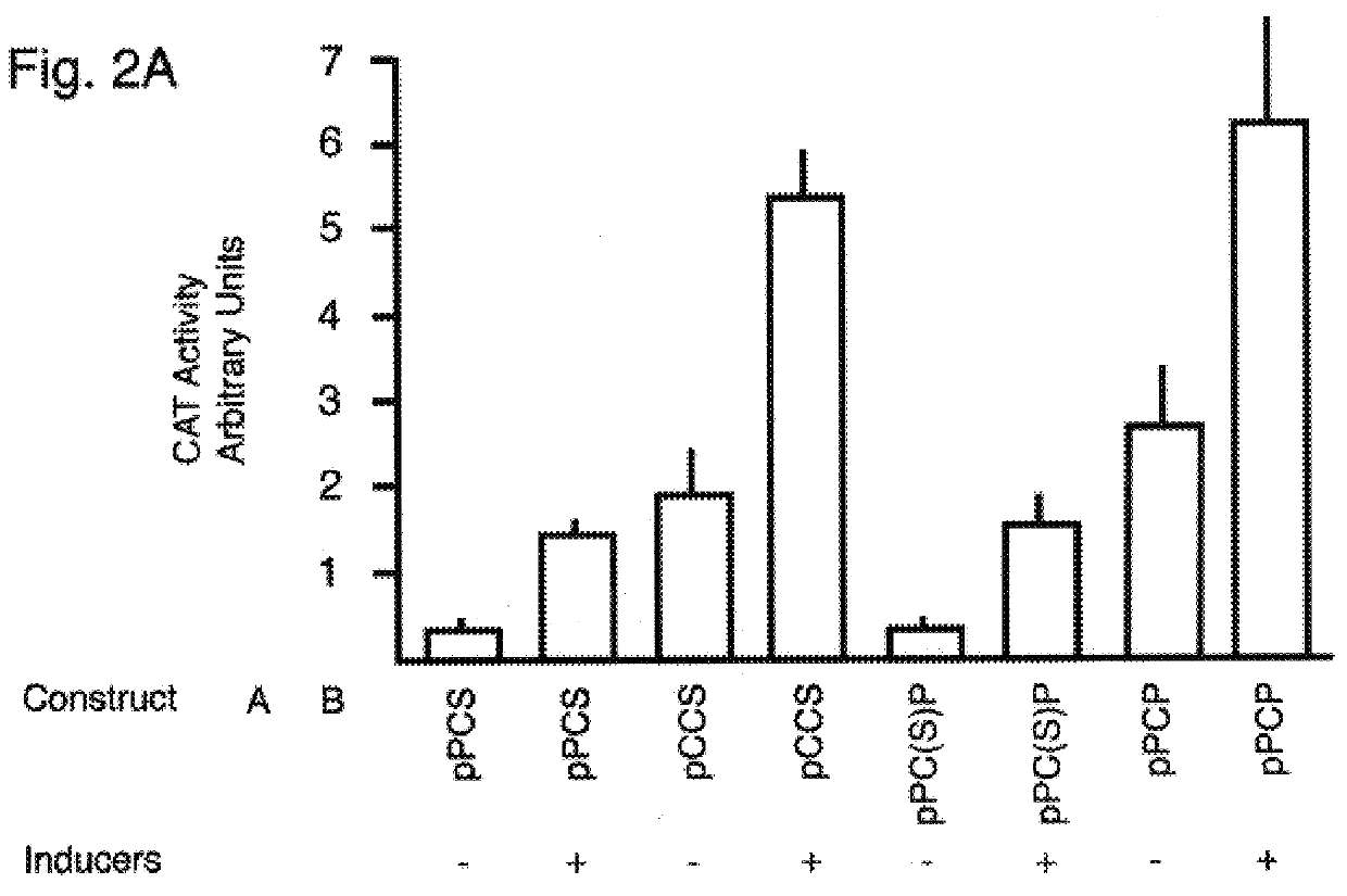 Heterologous gene expression with poliovirus replicon