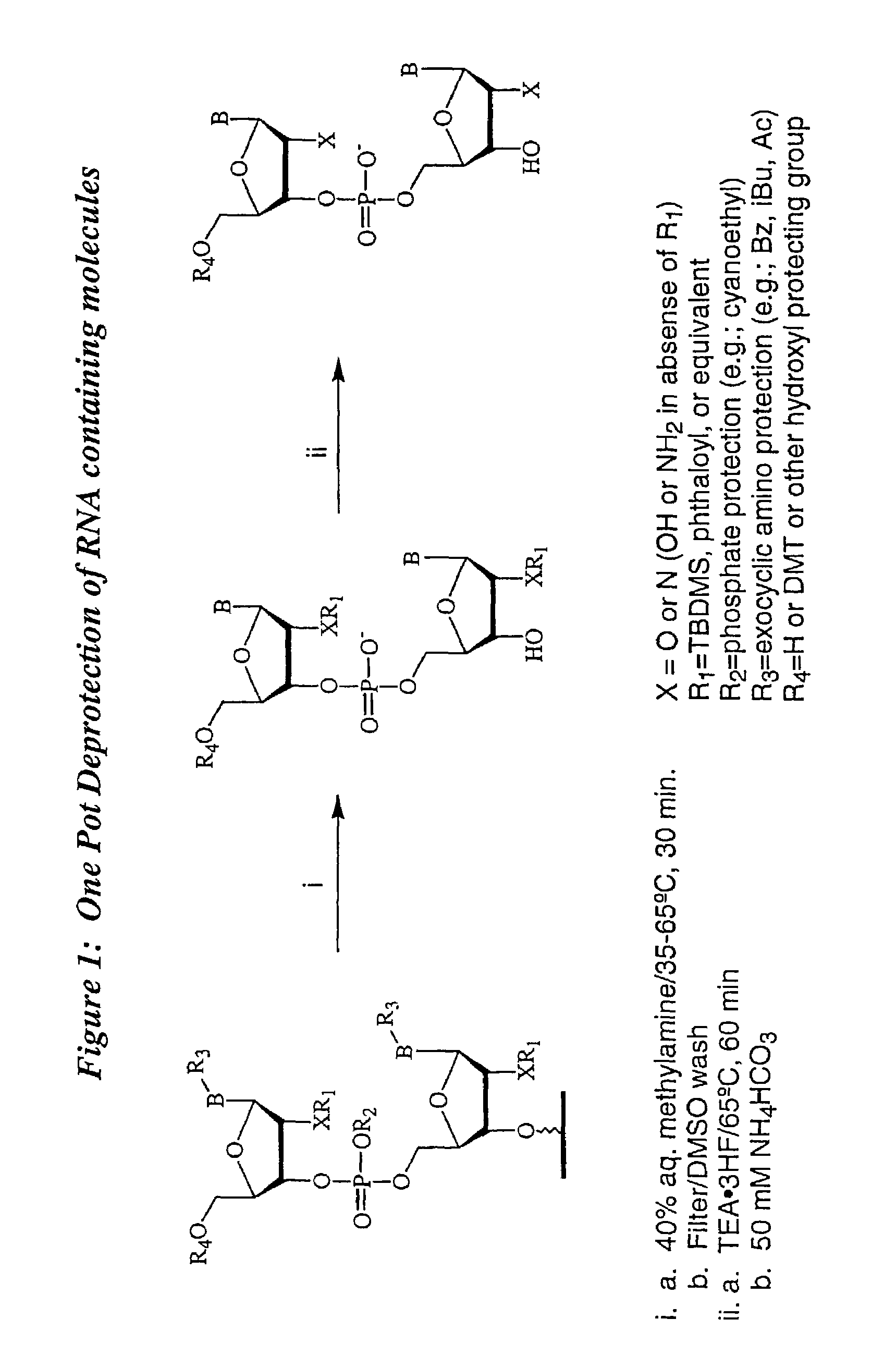 Deprotection and purification of oligonucleotides and their derivatives