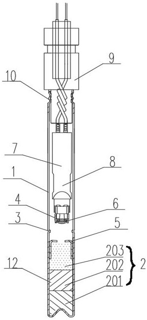 Special electronic detonator for tunnel