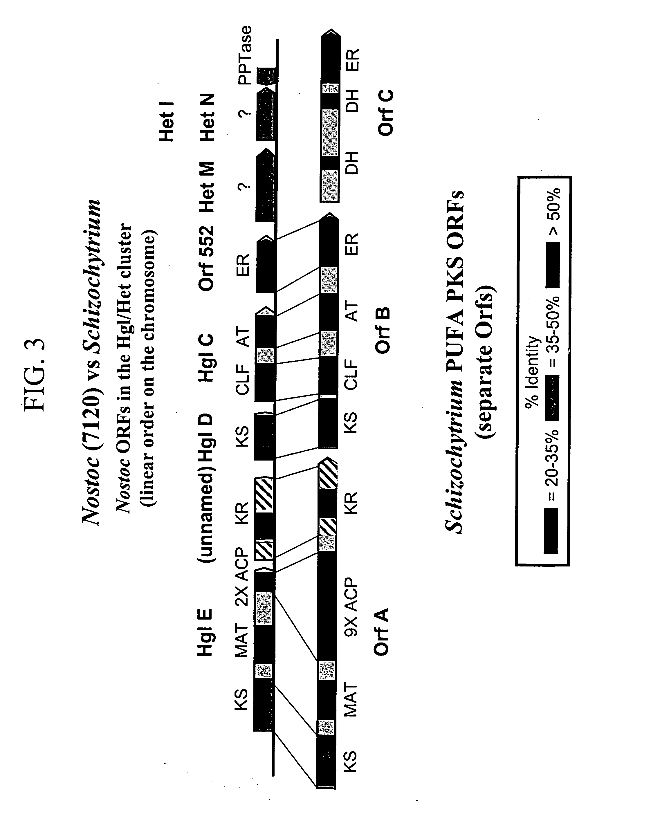 Pufa polyketide synthase systems and uses thereof