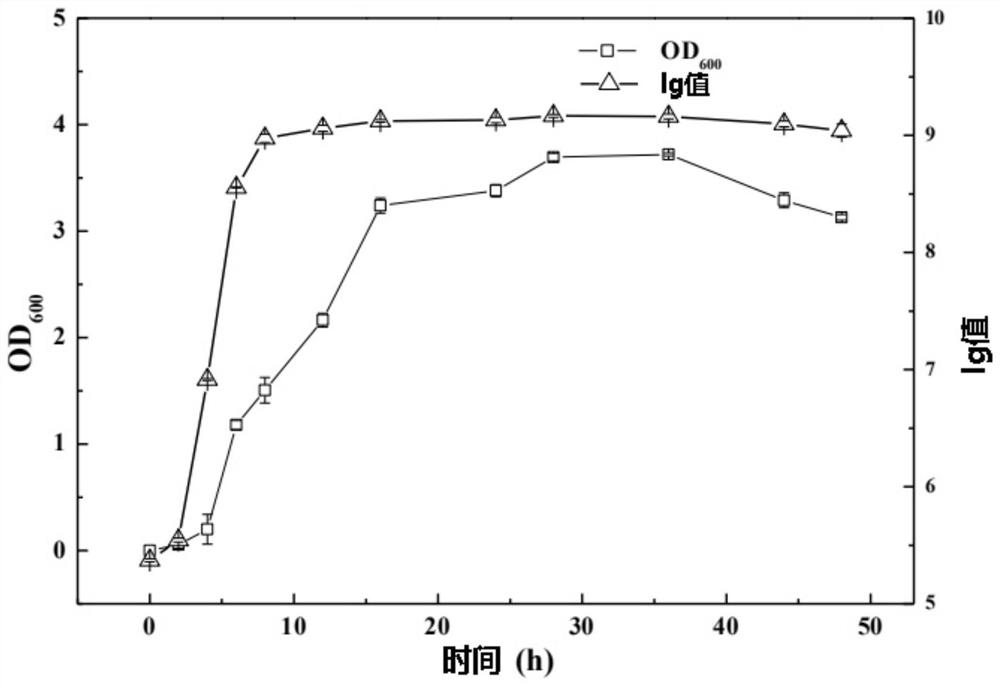 Alga-lysing microbial agent and application thereof