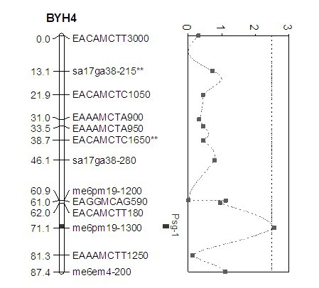 Molecular marker of content of soluble sugar in August red pear fruit