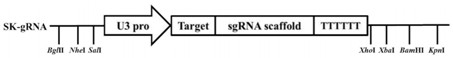 Rice gene OsFd2 and applications of rice gene OsFd2 in rice resistance to rice blast