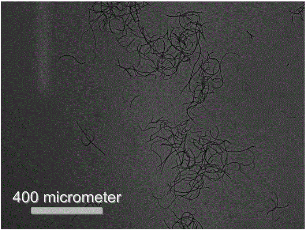 Preparation method for nanofiber porous scaffold having compression elasticity in wet state