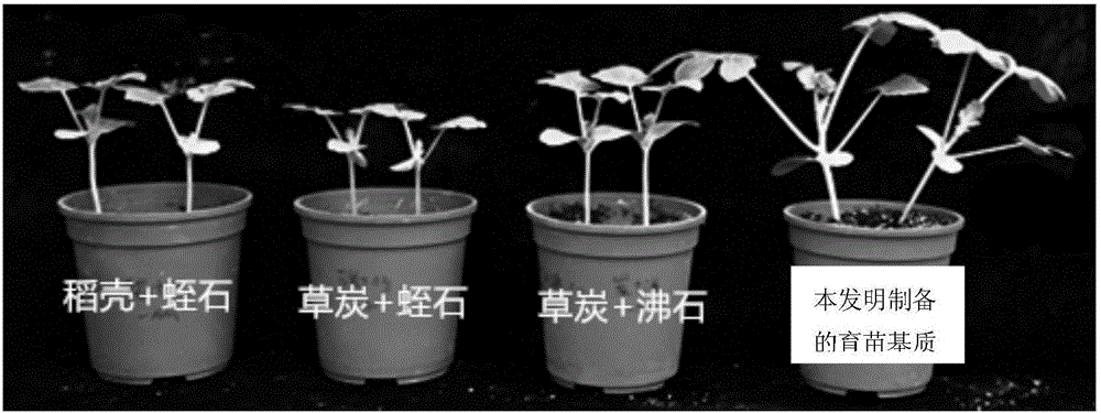 Seedling culture medium of watermelon seedlings as well as preparation method and application of seedling culture medium