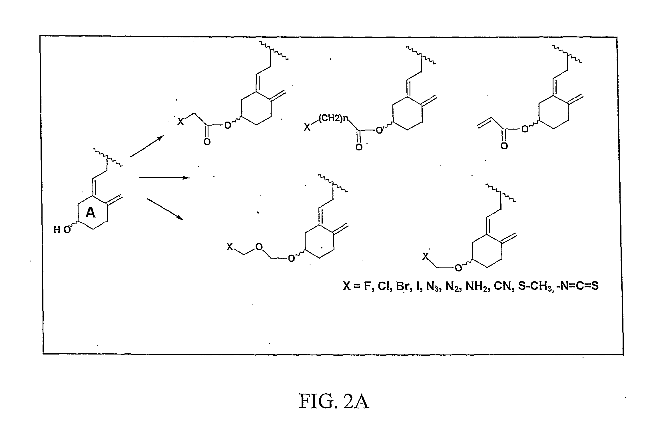 Compositions and Methods for Cancer Treatment