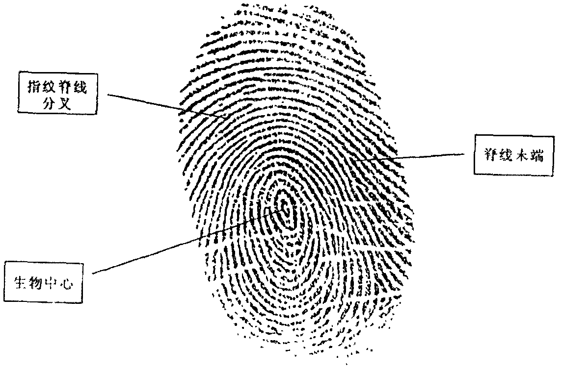Fingerprint matching method and fingerprint matching implementation mode