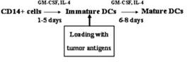 Preparation method of dendritic cell (DC) vaccine loaded with autologous tumor associated holoantigen