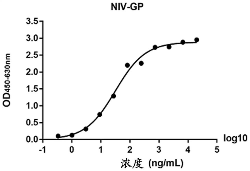 A kind of anti-Nipah virus envelope glycoprotein monoclonal antibody and its application