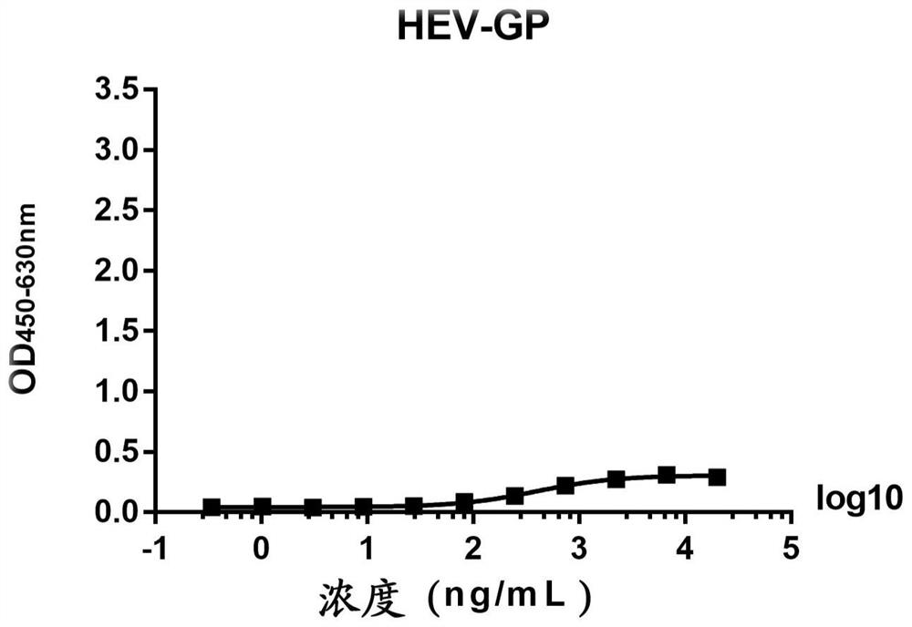 A kind of anti-Nipah virus envelope glycoprotein monoclonal antibody and its application