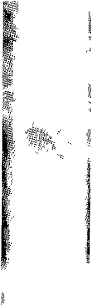 Application of cornflower-3-O-galactoside in preparing foods or medicaments for improving cognitive functions of old people