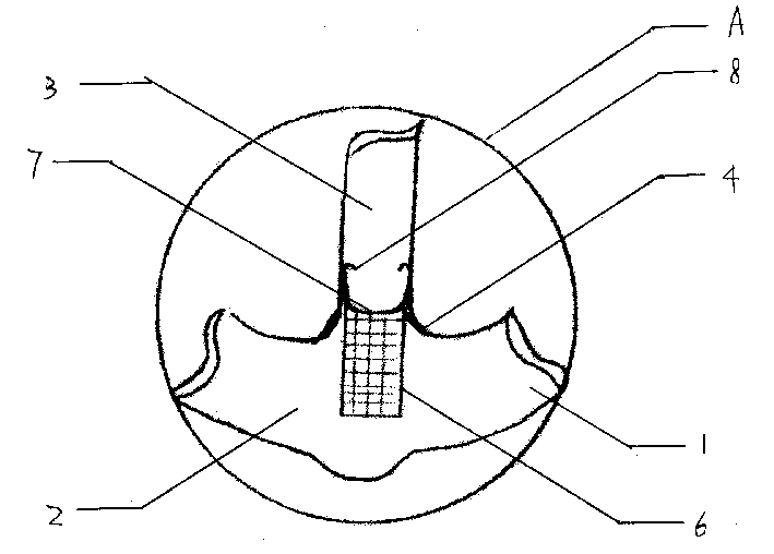 Spiral fluorescent light tube