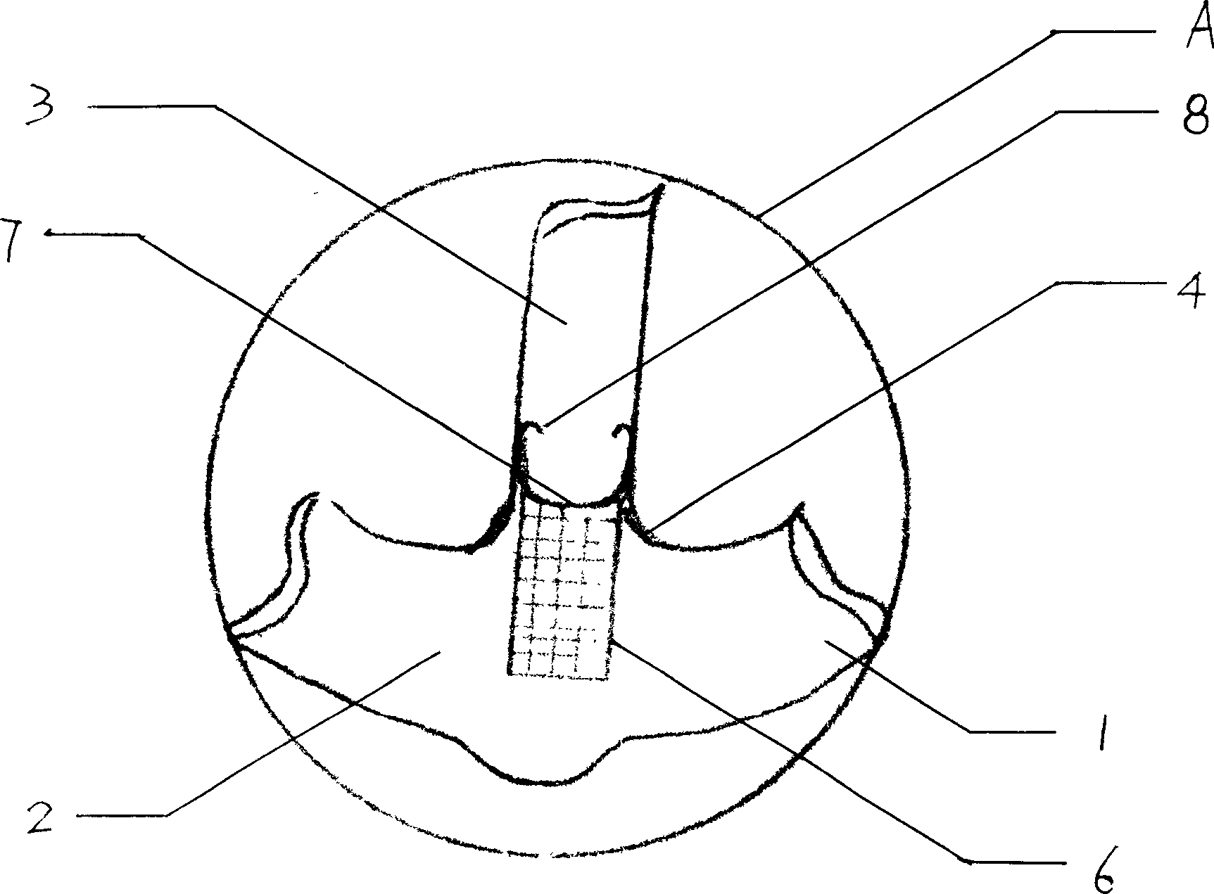 Spiral fluorescent light tube