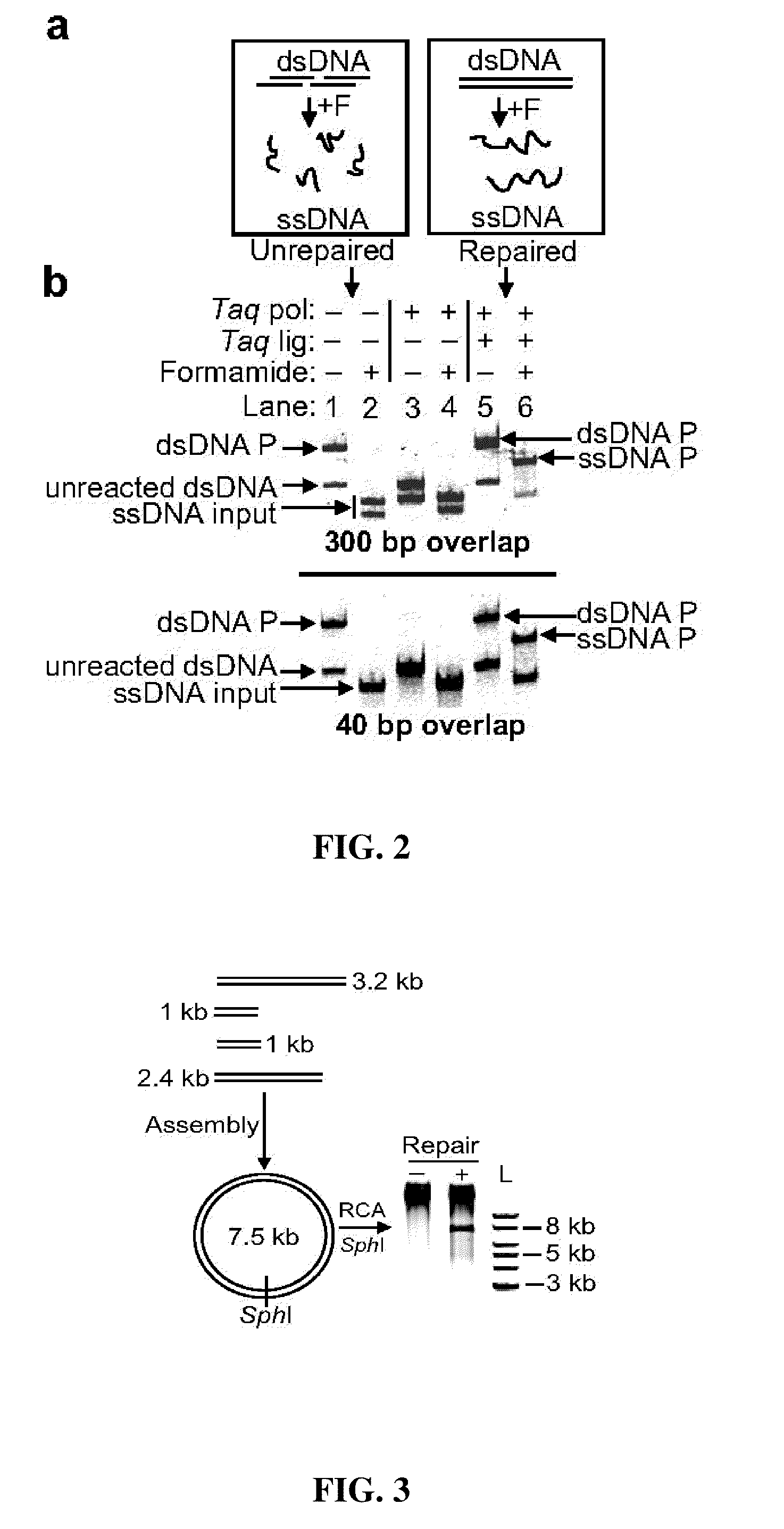 Methods for in vitro joining and combinatorial assembly of nucleic acid molecules