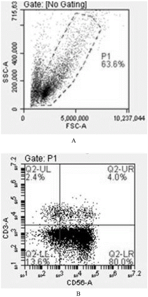 Culture method and serum-free culture medium composition of NK cells