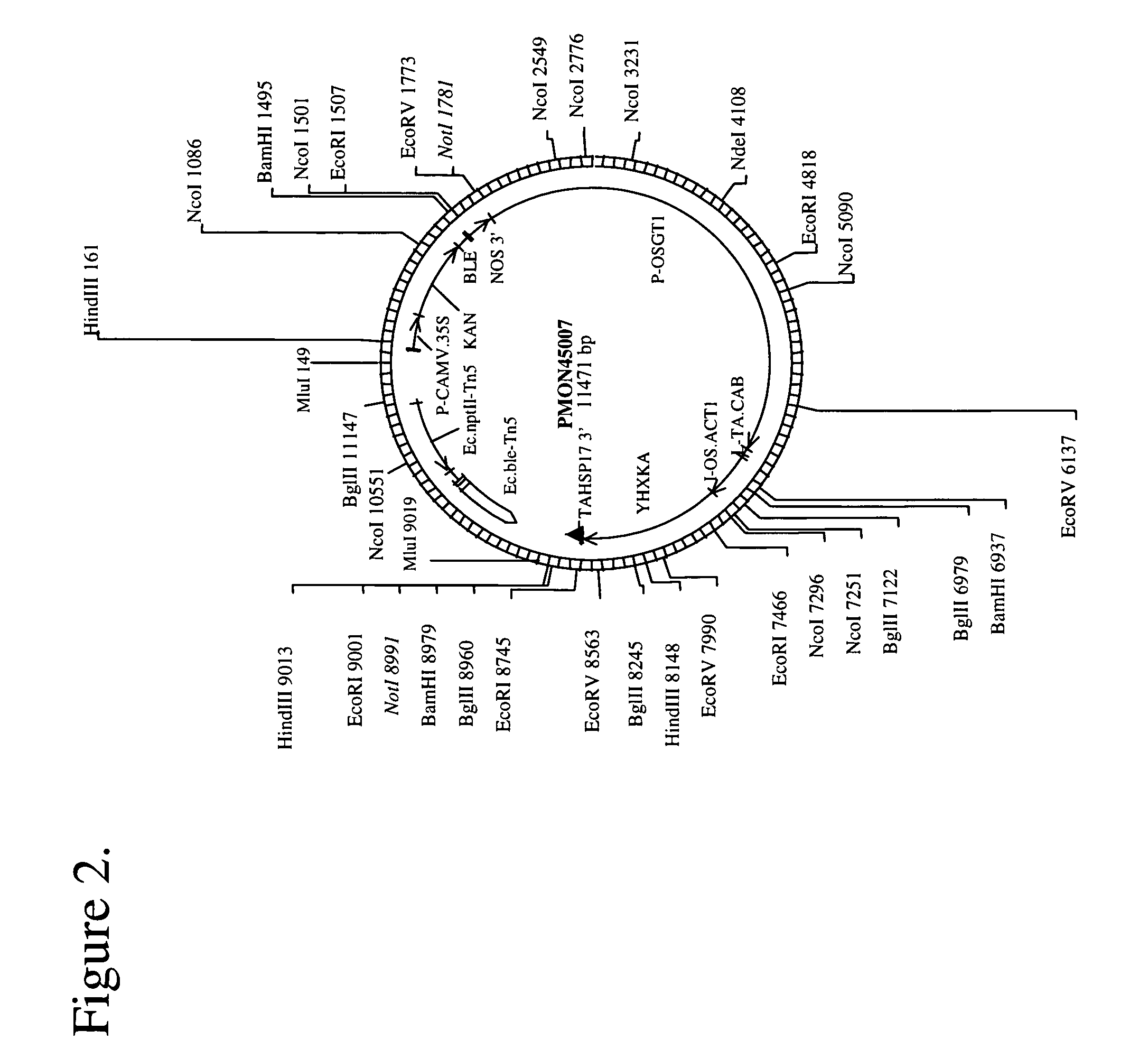 Method of increasing yield in a plant and genes useful therefor