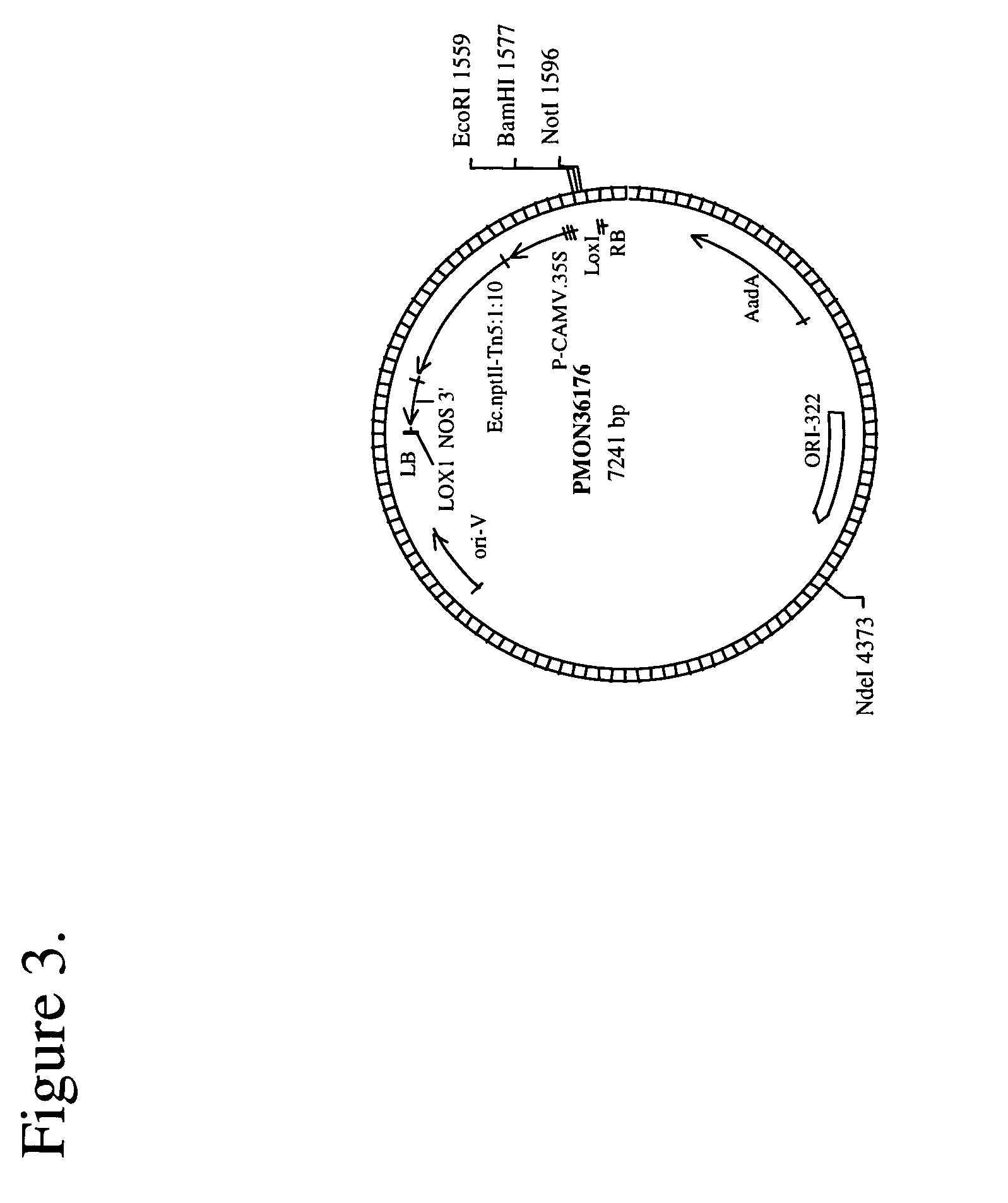 Method of increasing yield in a plant and genes useful therefor
