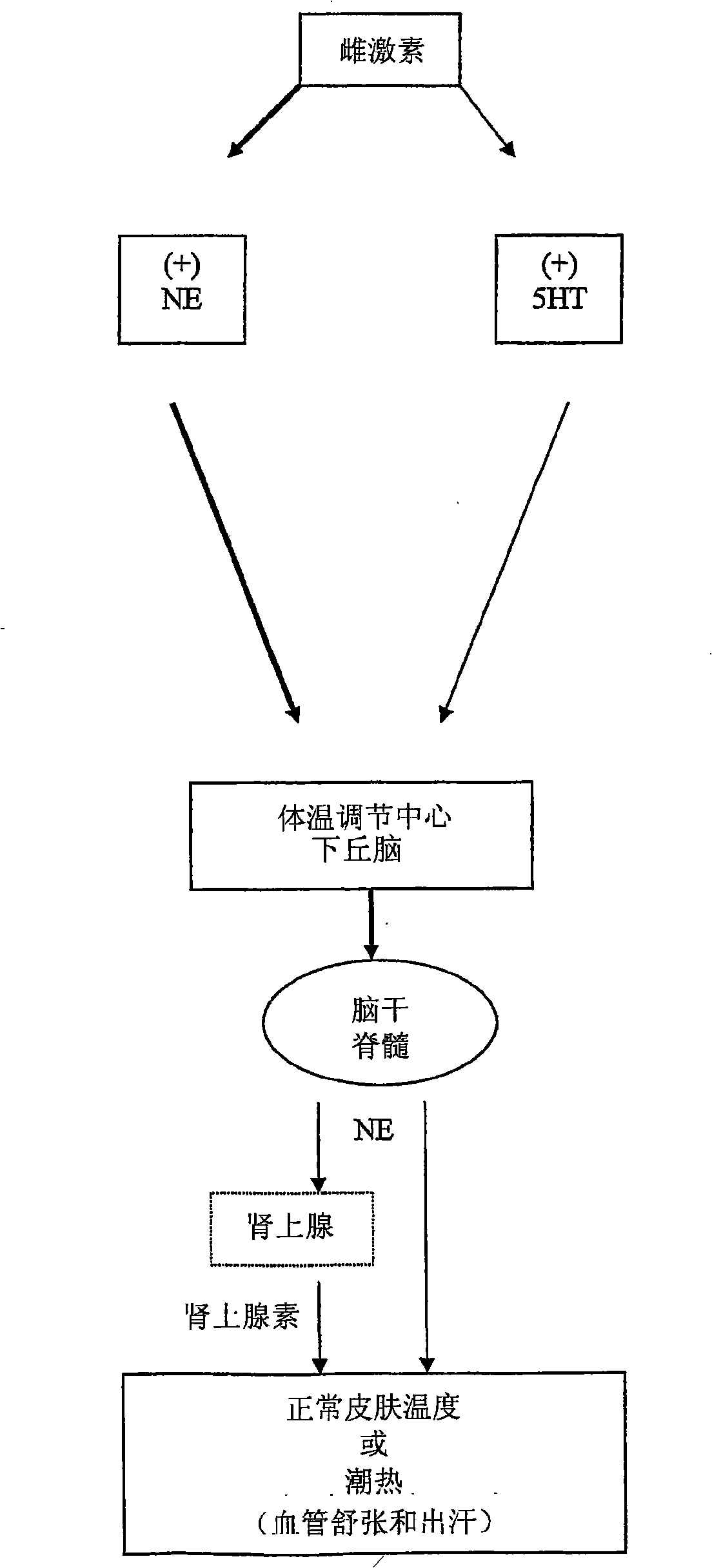 Benzothiadiazolyphenylalkylamine derivatives for use in the treatment of conditions ameliorated by monoamine reuptake