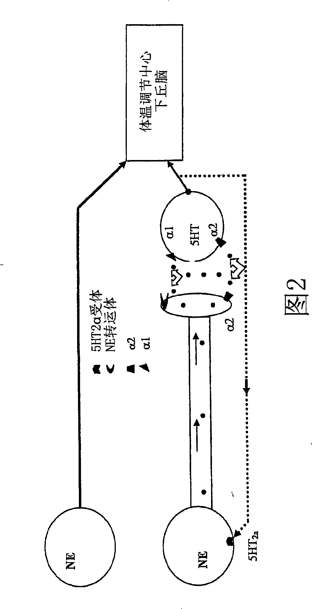 Benzothiadiazolyphenylalkylamine derivatives for use in the treatment of conditions ameliorated by monoamine reuptake