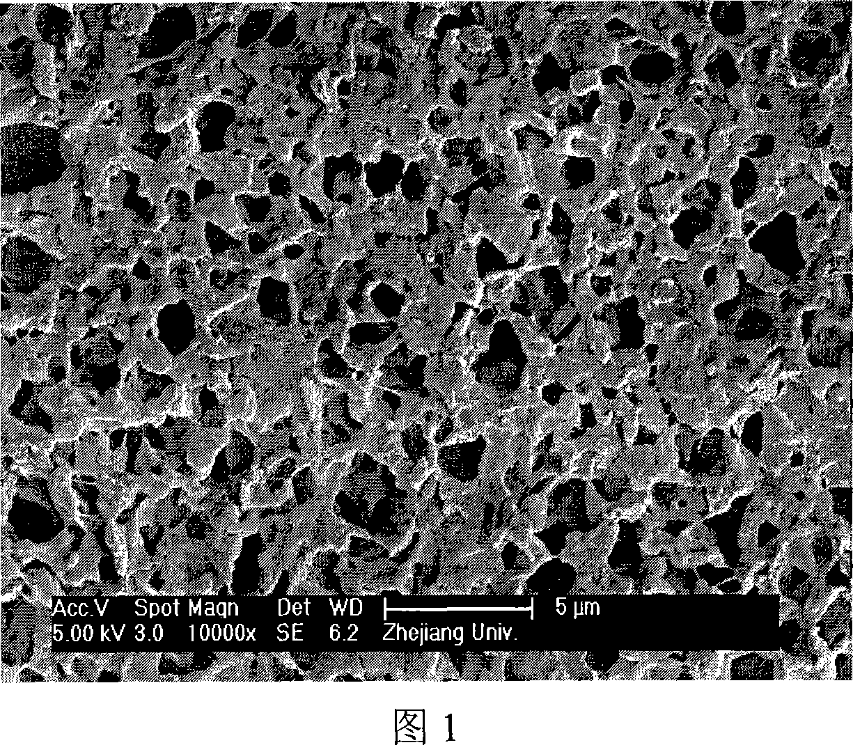 Porous gel polyelectrolyte thin film and preparation method thereof