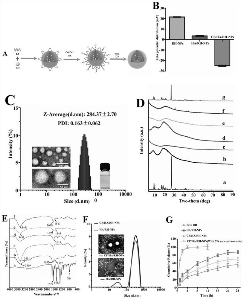 A kind of lactoferrin nanoparticle carrying rhein and its preparation method and use