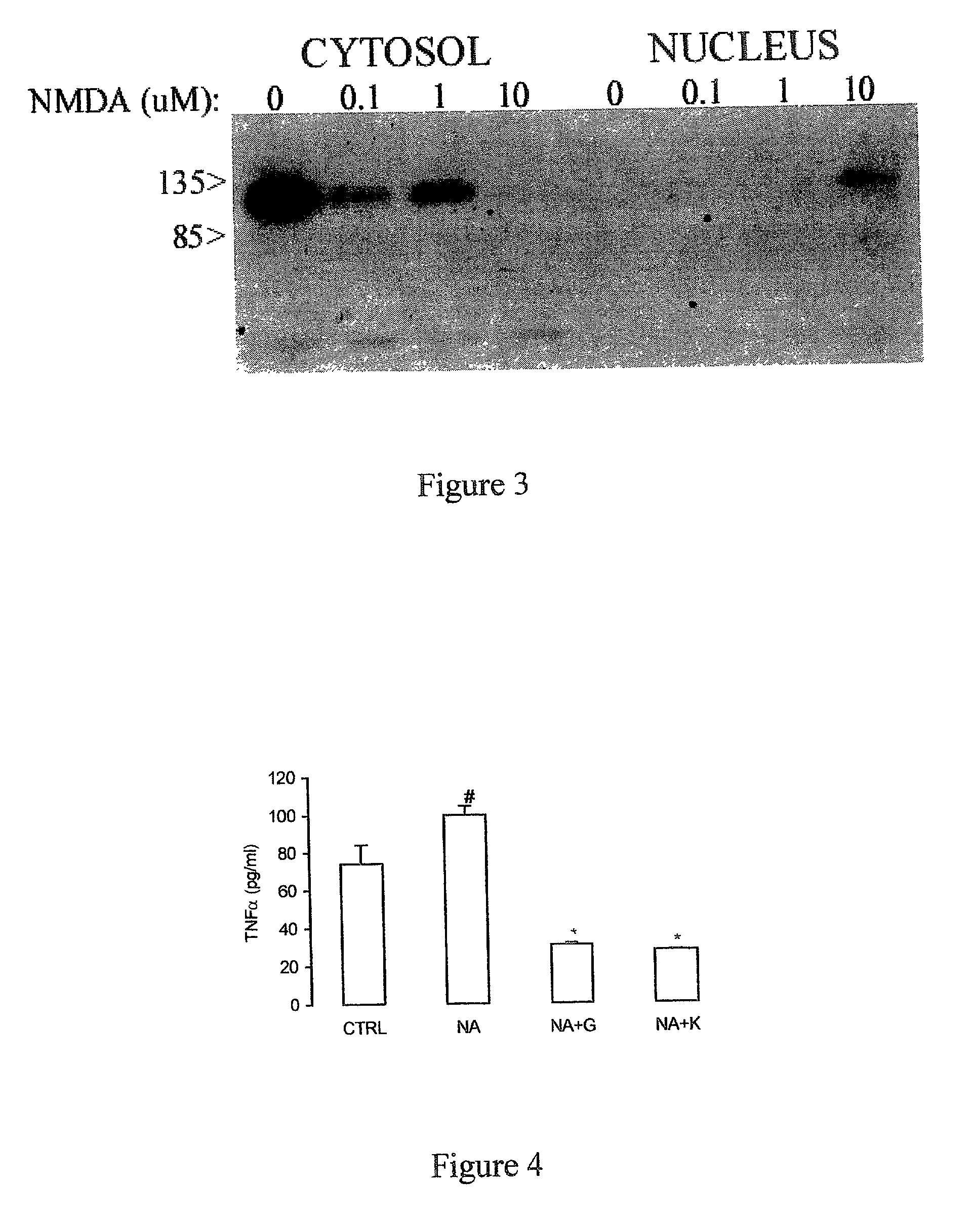Methods for treating neuropathological states and neurogenic inflammatory states and methods for identifying compounds useful therein