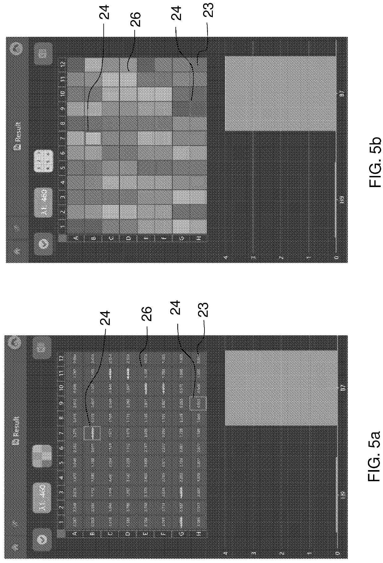 Method of analyzing liquid samples, microplate reader and computer program