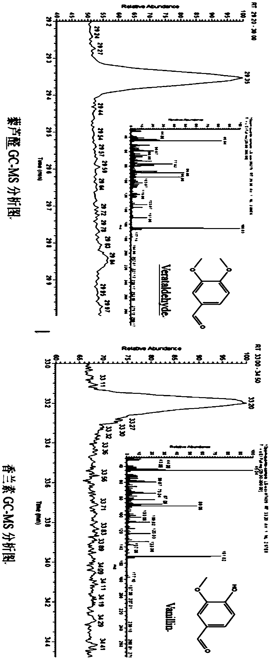 Trans-anethole oxygenase mutant, and mutant strain