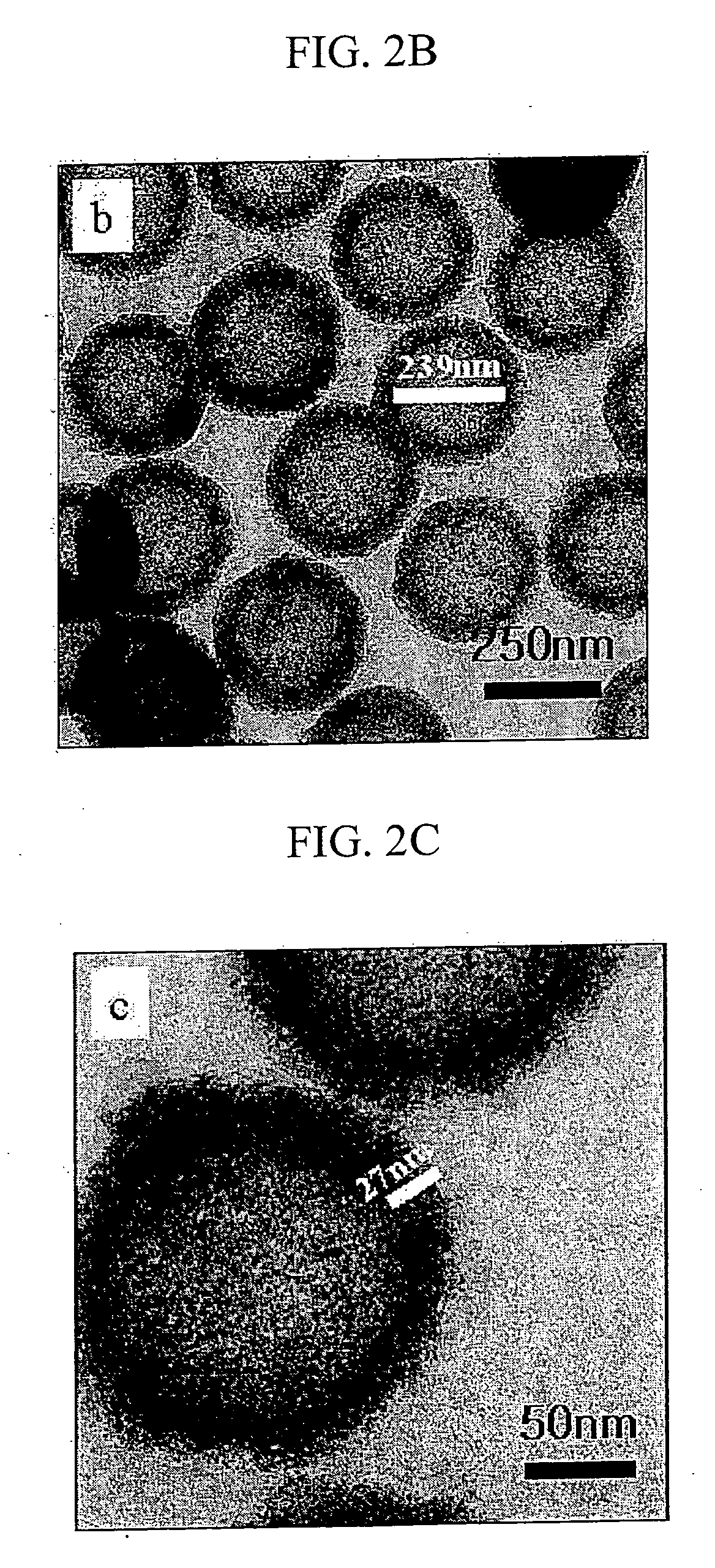 HCMS carbon capsule, electrocatalysts for fuel cell supported by HCMS carbon capsule, and method of preparing the same